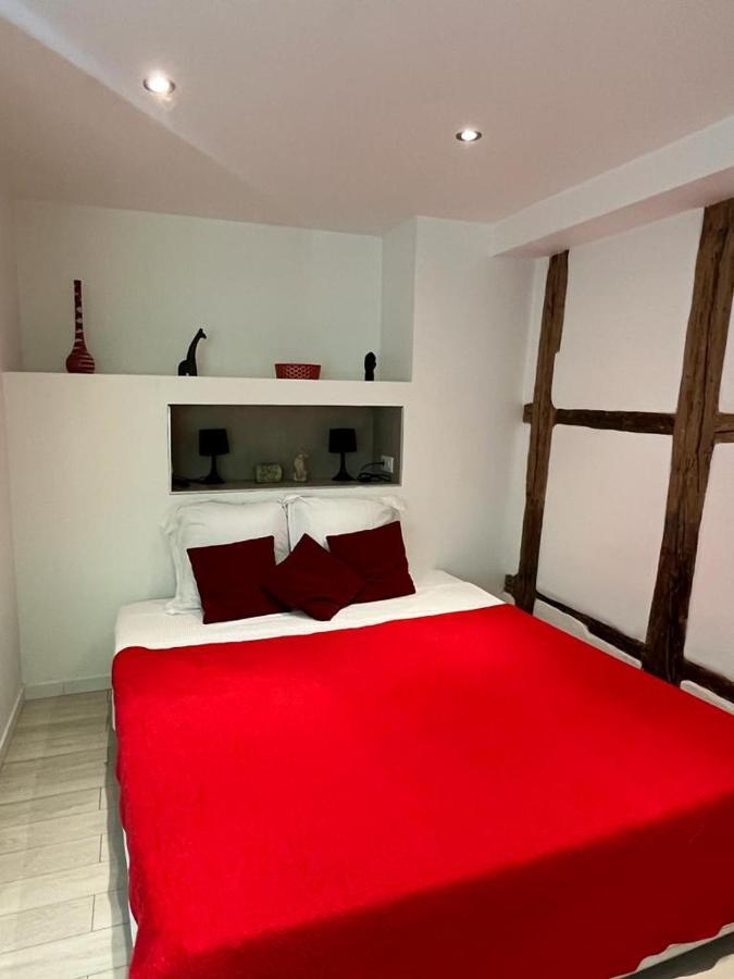 La Mariana - Old Town Cosy Apartments 科尔马 外观 照片
