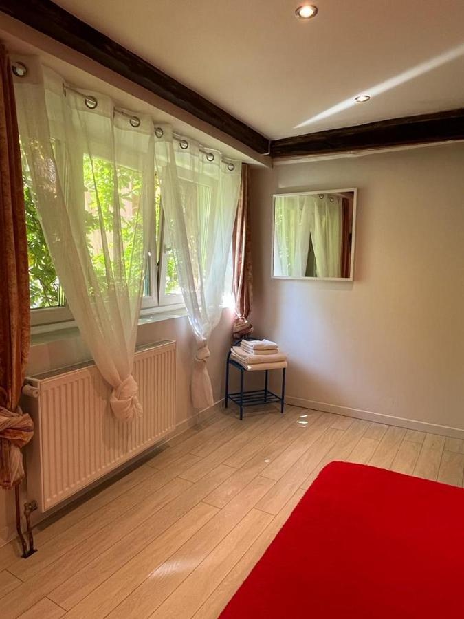 La Mariana - Old Town Cosy Apartments 科尔马 外观 照片