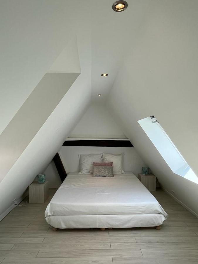 La Mariana - Old Town Cosy Apartments 科尔马 外观 照片